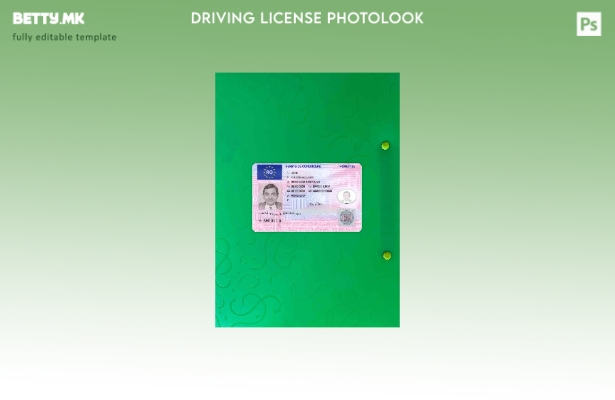 модерен стил Romania DL го ажурираше шаблонот за photolook FRONT